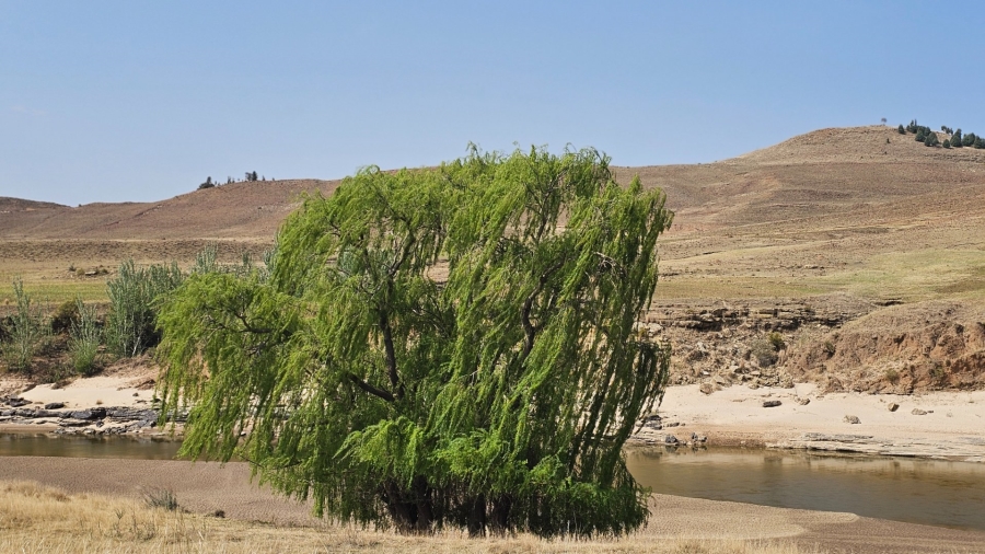 Commercial Property for Sale in Hobhouse Rural Free State